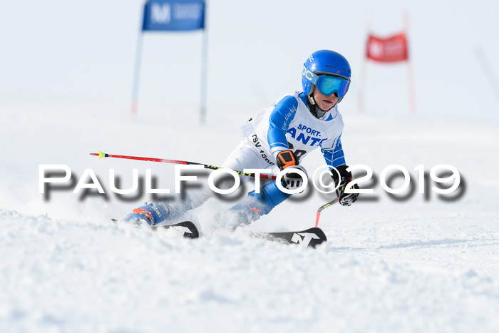 SVM U8, U10, U12, SechzgerPokal 2019