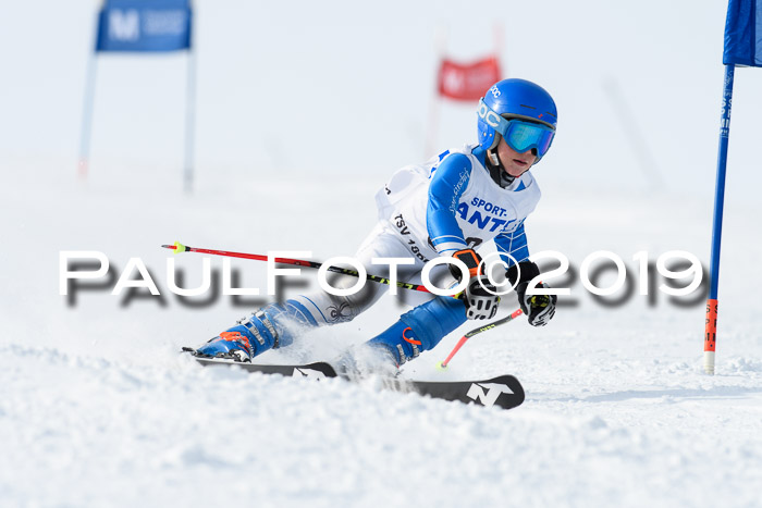 SVM U8, U10, U12, SechzgerPokal 2019