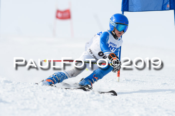 SVM U8, U10, U12, SechzgerPokal 2019