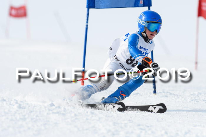 SVM U8, U10, U12, SechzgerPokal 2019