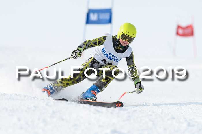 SVM U8, U10, U12, SechzgerPokal 2019