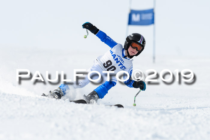 SVM U8, U10, U12, SechzgerPokal 2019