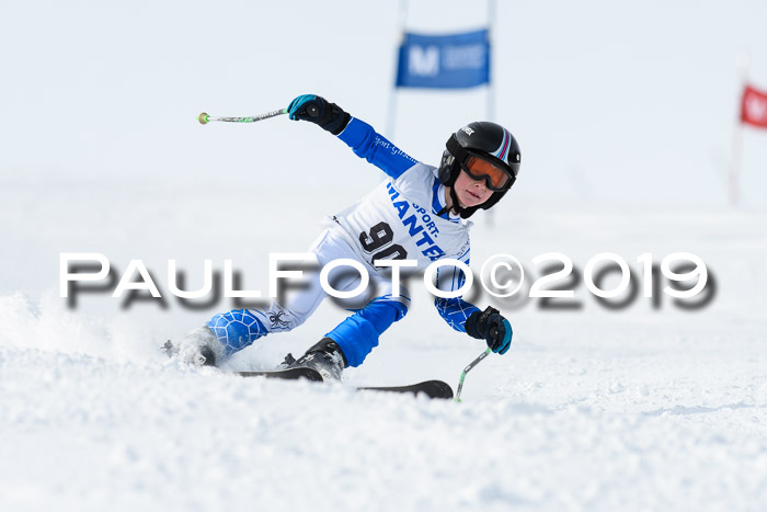 SVM U8, U10, U12, SechzgerPokal 2019