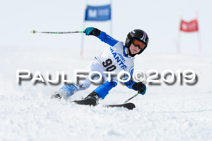 SVM U8, U10, U12, SechzgerPokal 2019