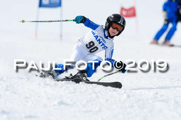 SVM U8, U10, U12, SechzgerPokal 2019