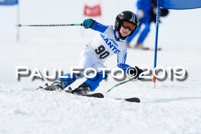 SVM U8, U10, U12, SechzgerPokal 2019