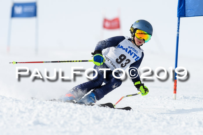 SVM U8, U10, U12, SechzgerPokal 2019