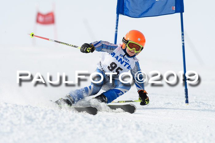 SVM U8, U10, U12, SechzgerPokal 2019