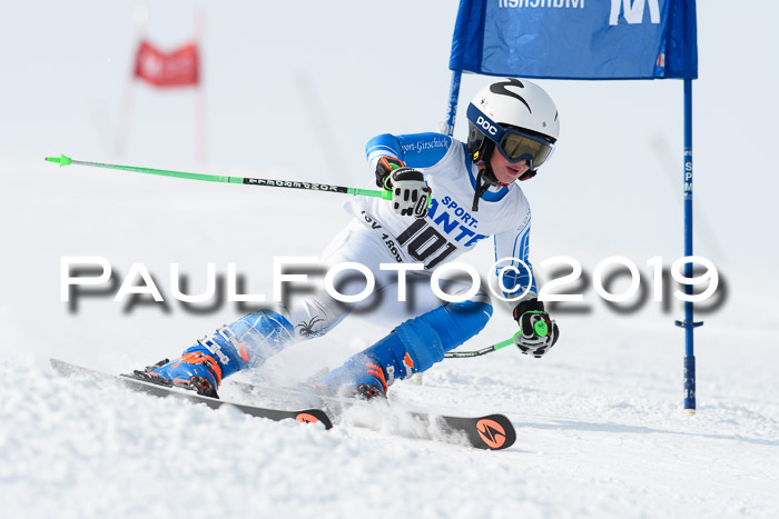 SVM U8, U10, U12, SechzgerPokal 2019