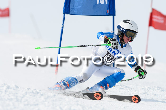 SVM U8, U10, U12, SechzgerPokal 2019