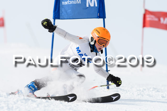 SVM U8, U10, U12, SechzgerPokal 2019