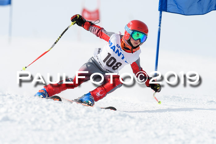 SVM U8, U10, U12, SechzgerPokal 2019