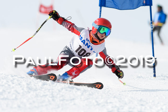 SVM U8, U10, U12, SechzgerPokal 2019