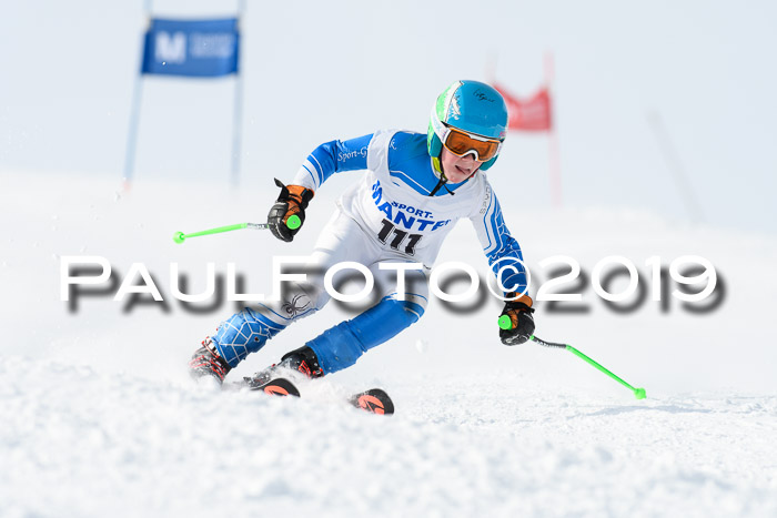 SVM U8, U10, U12, SechzgerPokal 2019