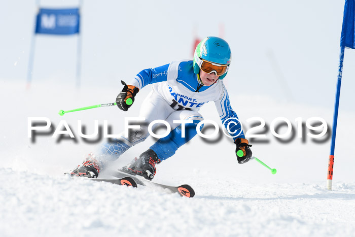 SVM U8, U10, U12, SechzgerPokal 2019