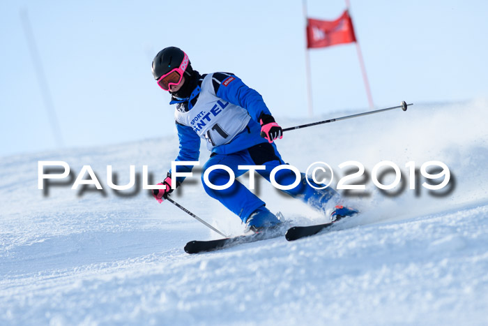 SVM U8, U10, U12, SechzgerPokal 2019