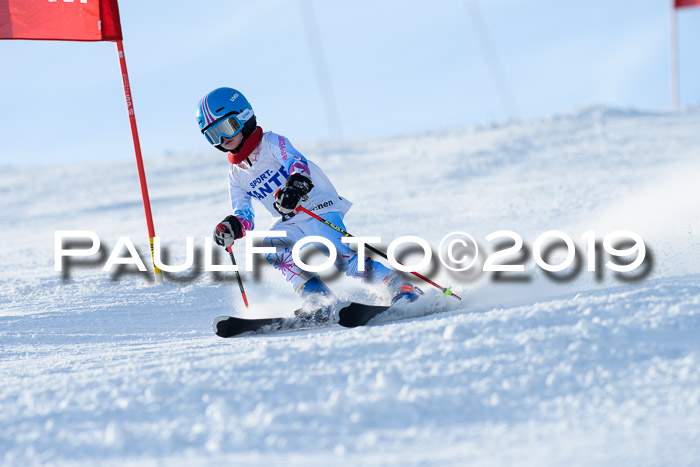 SVM U8, U10, U12, SechzgerPokal 2019