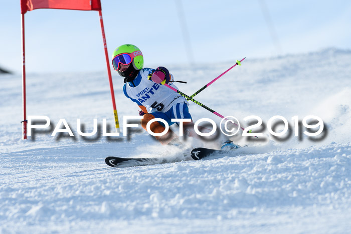 SVM U8, U10, U12, SechzgerPokal 2019