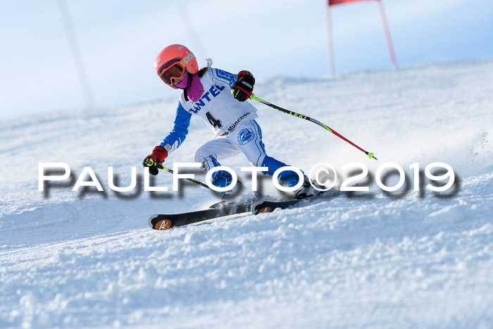 SVM U8, U10, U12, SechzgerPokal 2019