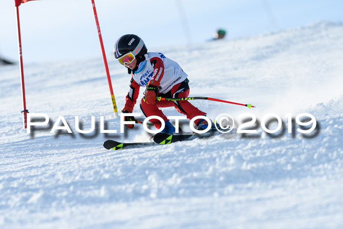 SVM U8, U10, U12, SechzgerPokal 2019