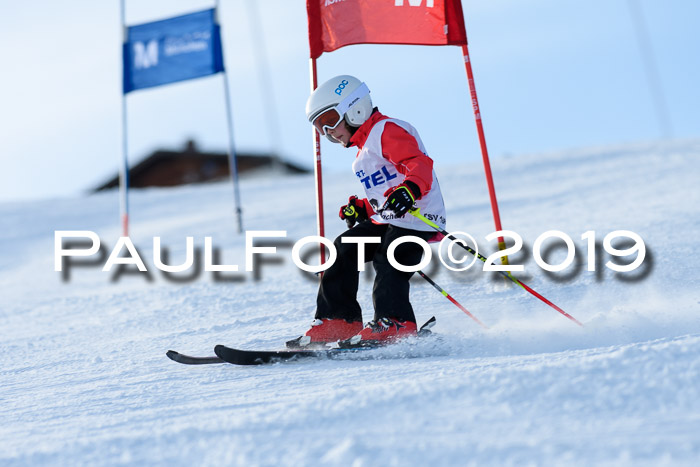 SVM U8, U10, U12, SechzgerPokal 2019