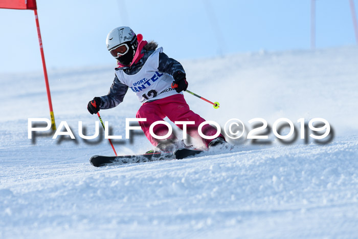 SVM U8, U10, U12, SechzgerPokal 2019