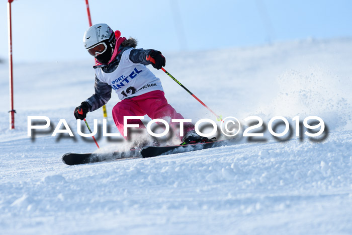 SVM U8, U10, U12, SechzgerPokal 2019