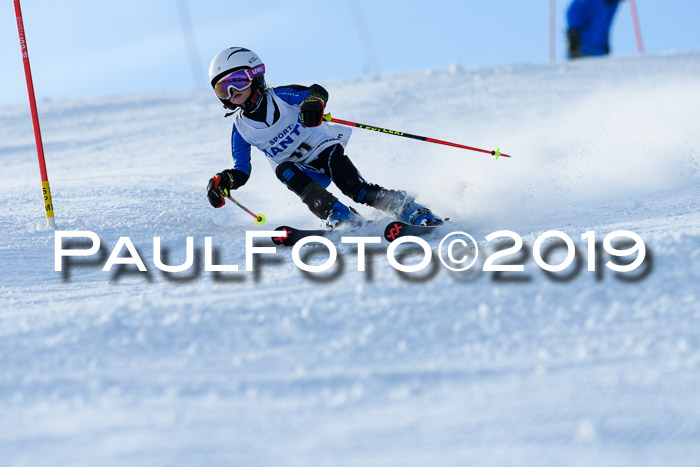 SVM U8, U10, U12, SechzgerPokal 2019