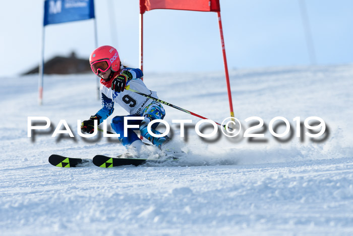 SVM U8, U10, U12, SechzgerPokal 2019