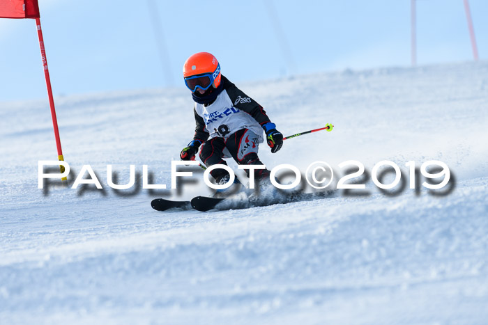 SVM U8, U10, U12, SechzgerPokal 2019