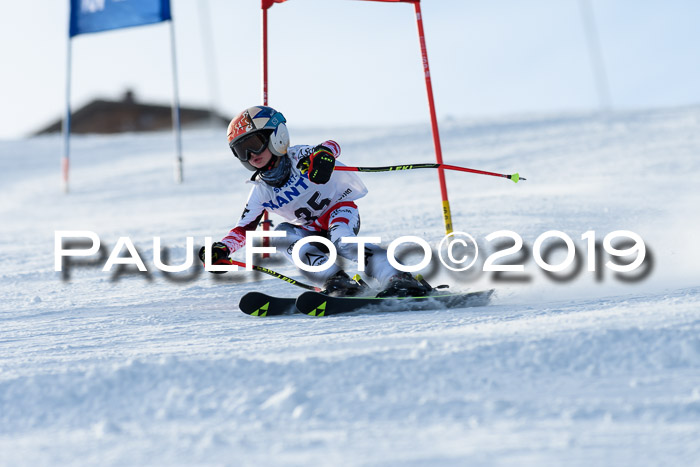 SVM U8, U10, U12, SechzgerPokal 2019