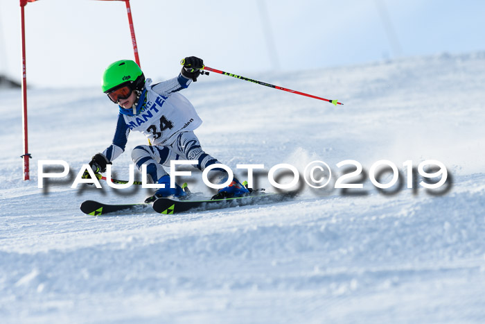 SVM U8, U10, U12, SechzgerPokal 2019