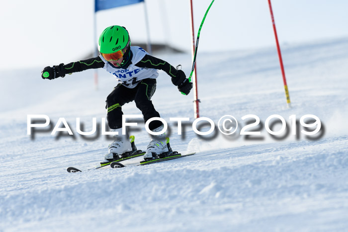 SVM U8, U10, U12, SechzgerPokal 2019