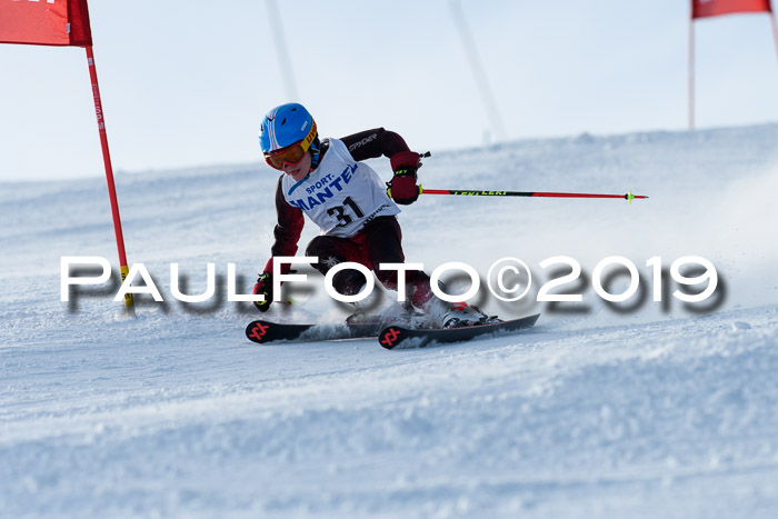 SVM U8, U10, U12, SechzgerPokal 2019