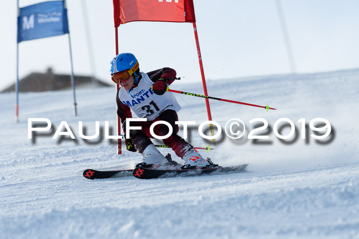 SVM U8, U10, U12, SechzgerPokal 2019