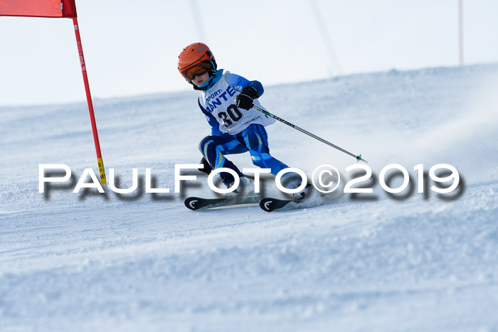 SVM U8, U10, U12, SechzgerPokal 2019