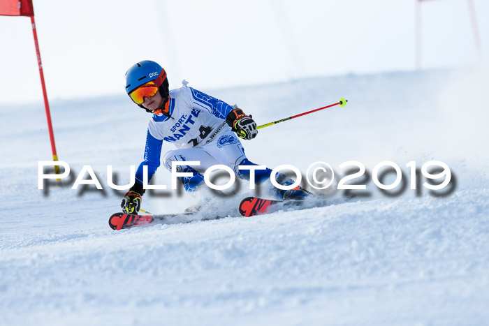 SVM U8, U10, U12, SechzgerPokal 2019