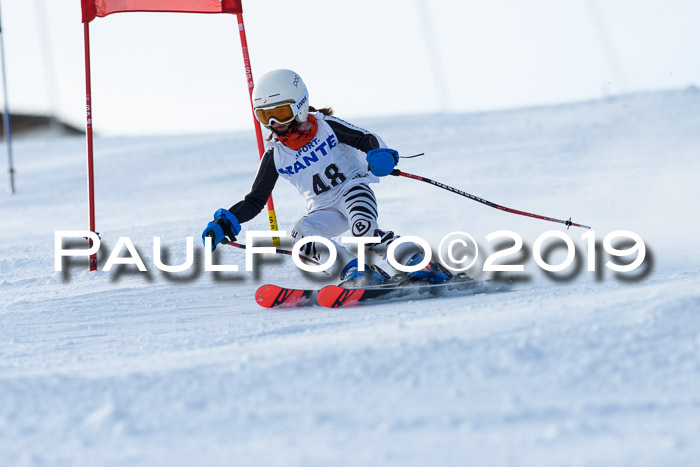 SVM U8, U10, U12, SechzgerPokal 2019