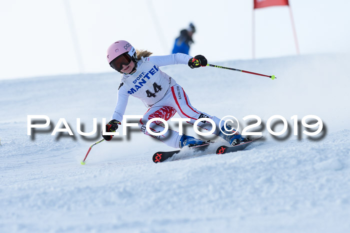 SVM U8, U10, U12, SechzgerPokal 2019