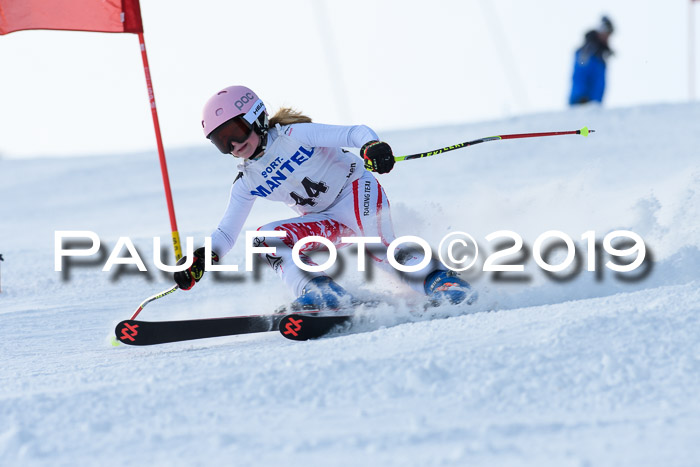 SVM U8, U10, U12, SechzgerPokal 2019