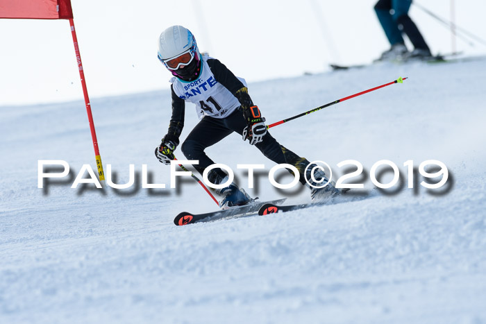 SVM U8, U10, U12, SechzgerPokal 2019