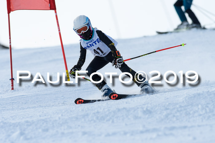 SVM U8, U10, U12, SechzgerPokal 2019