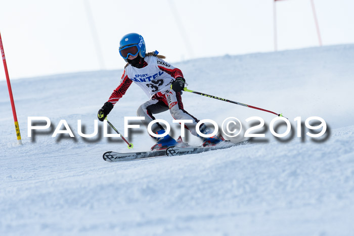 SVM U8, U10, U12, SechzgerPokal 2019