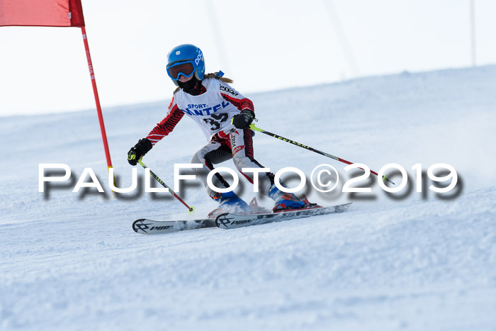 SVM U8, U10, U12, SechzgerPokal 2019