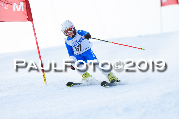 SVM U8, U10, U12, SechzgerPokal 2019