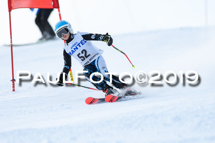 SVM U8, U10, U12, SechzgerPokal 2019