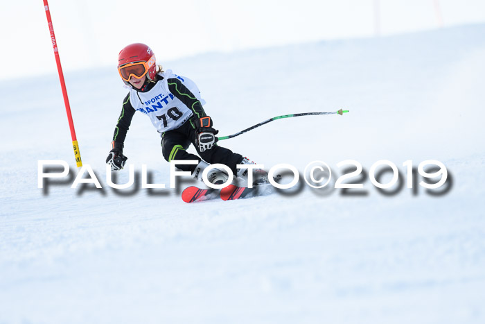 SVM U8, U10, U12, SechzgerPokal 2019