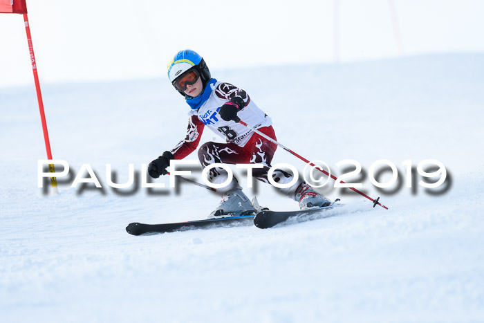 SVM U8, U10, U12, SechzgerPokal 2019