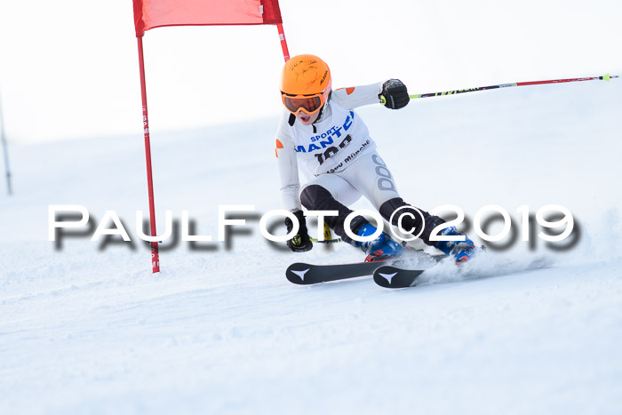 SVM U8, U10, U12, SechzgerPokal 2019