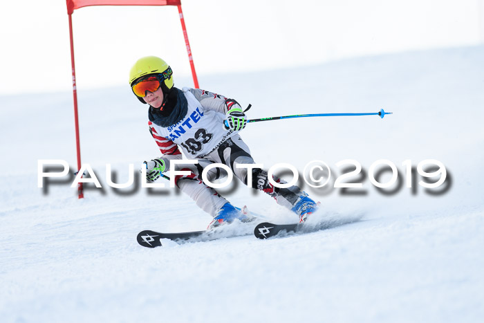 SVM U8, U10, U12, SechzgerPokal 2019